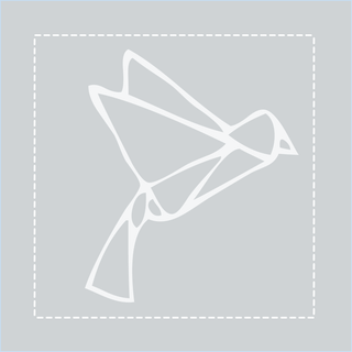 Origami animal frames