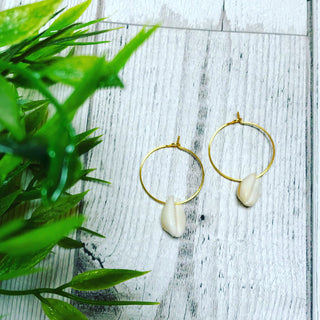 Cowrie shells on gold hoop earrings